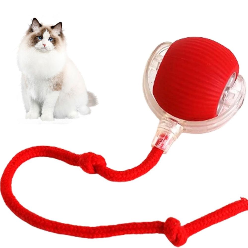 Interactive Pet Ball USB Rechargeable Smart Play Toy for Dogs and Cats