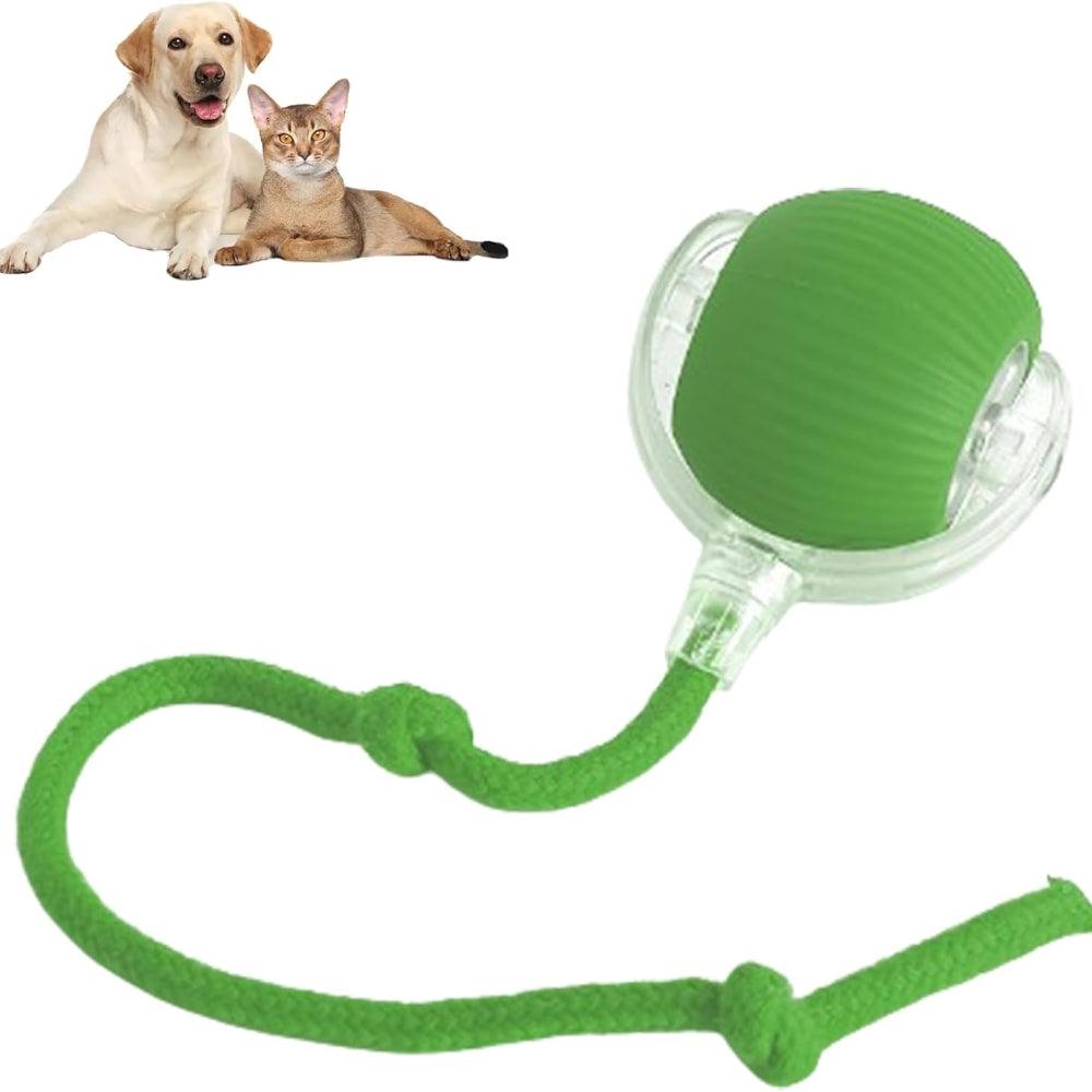 Interactive Pet Ball USB Rechargeable Smart Play Toy for Dogs and Cats