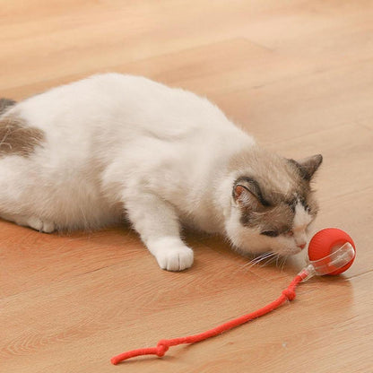 Interactive Pet Ball USB Rechargeable Smart Play Toy for Dogs and Cats