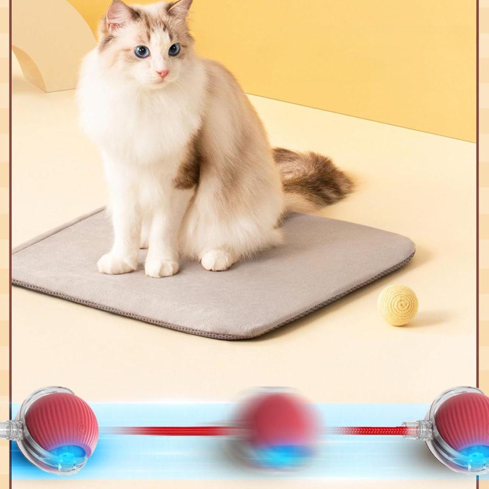 Interactive Pet Ball USB Rechargeable Smart Play Toy for Dogs and Cats