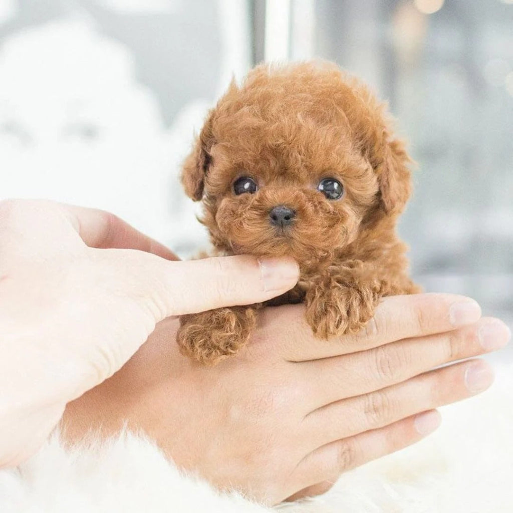 Interactive Robotic Puppy Toy with Lifelike Walking and Sound
