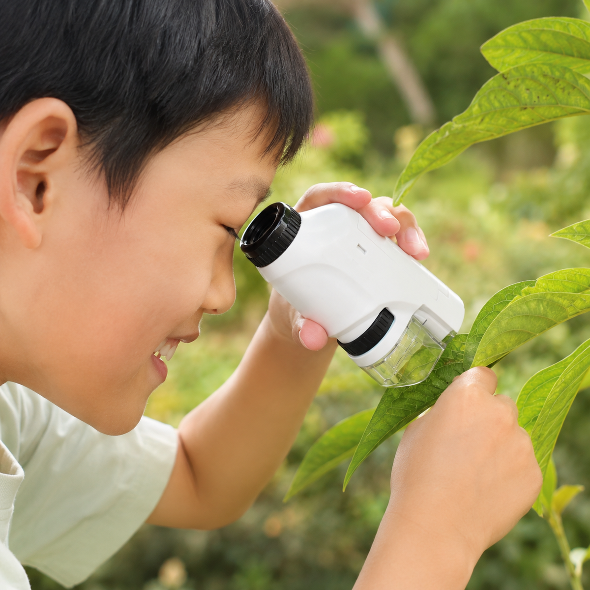 Kids Handheld Pocket Microscope with LED Light for Portable Educational Exploration