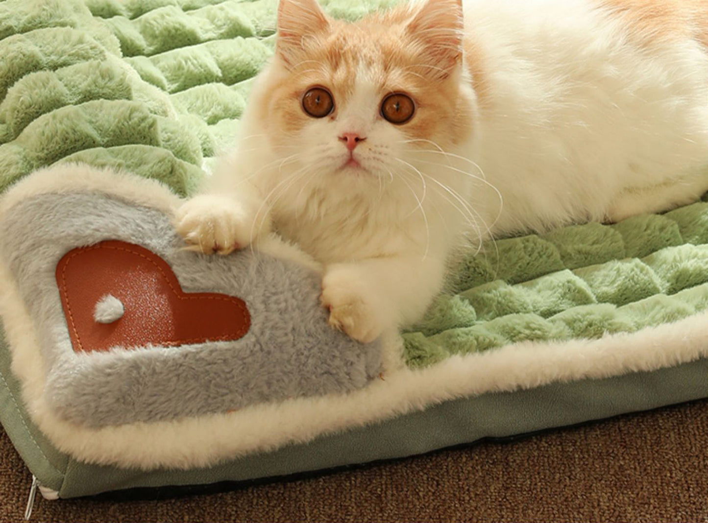 Luxury Winter Dog Bed Plush Warm Sofa for Small and Medium Dogs