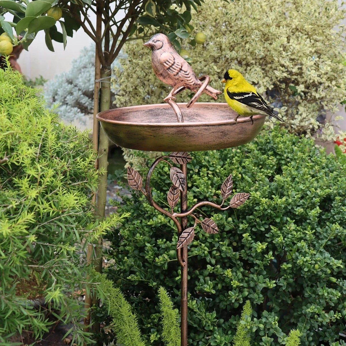 Metalen vogelbad met decoratieve standaard voor water voor tuinvogels