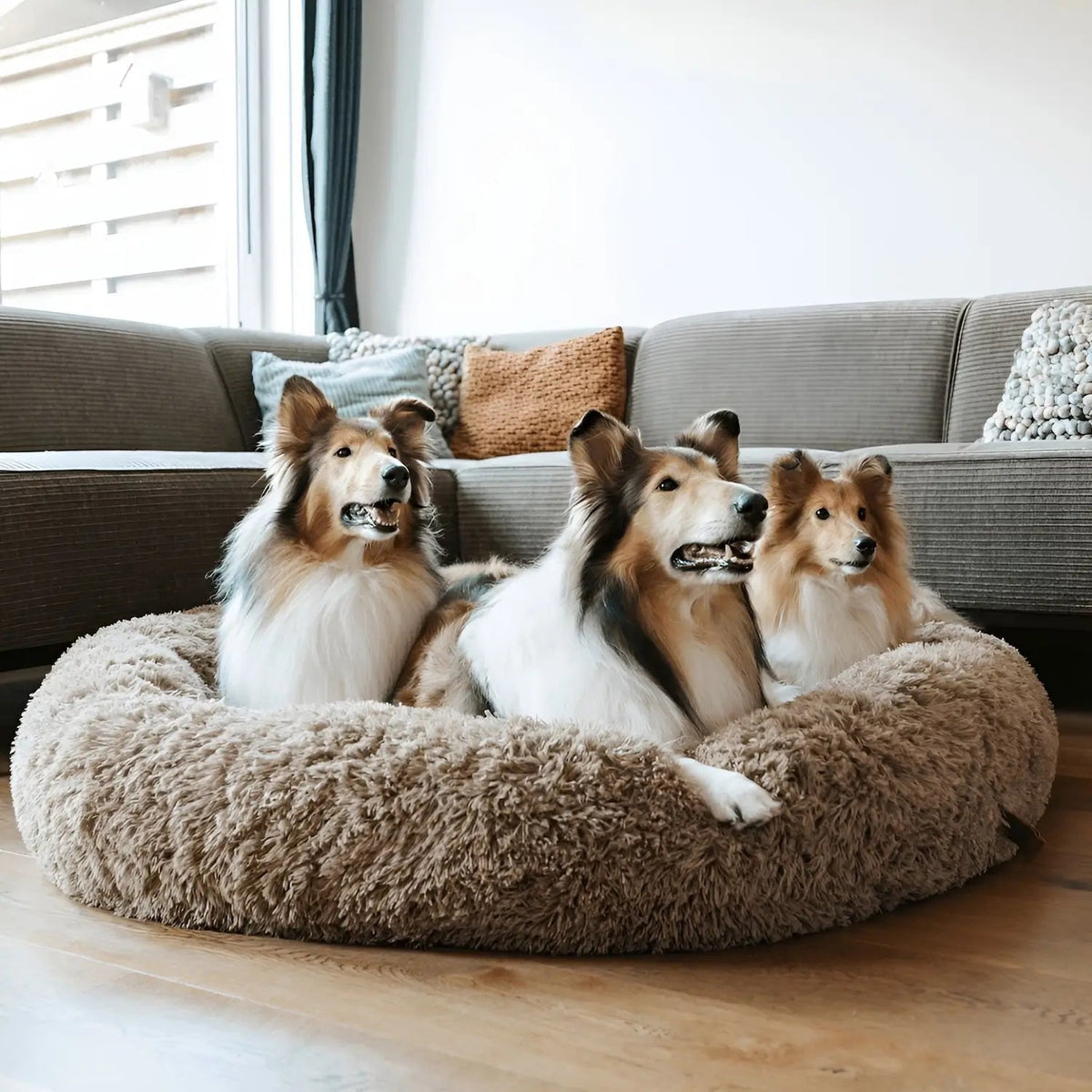 Plush Calming Dog Bed for Small and Large Dogs