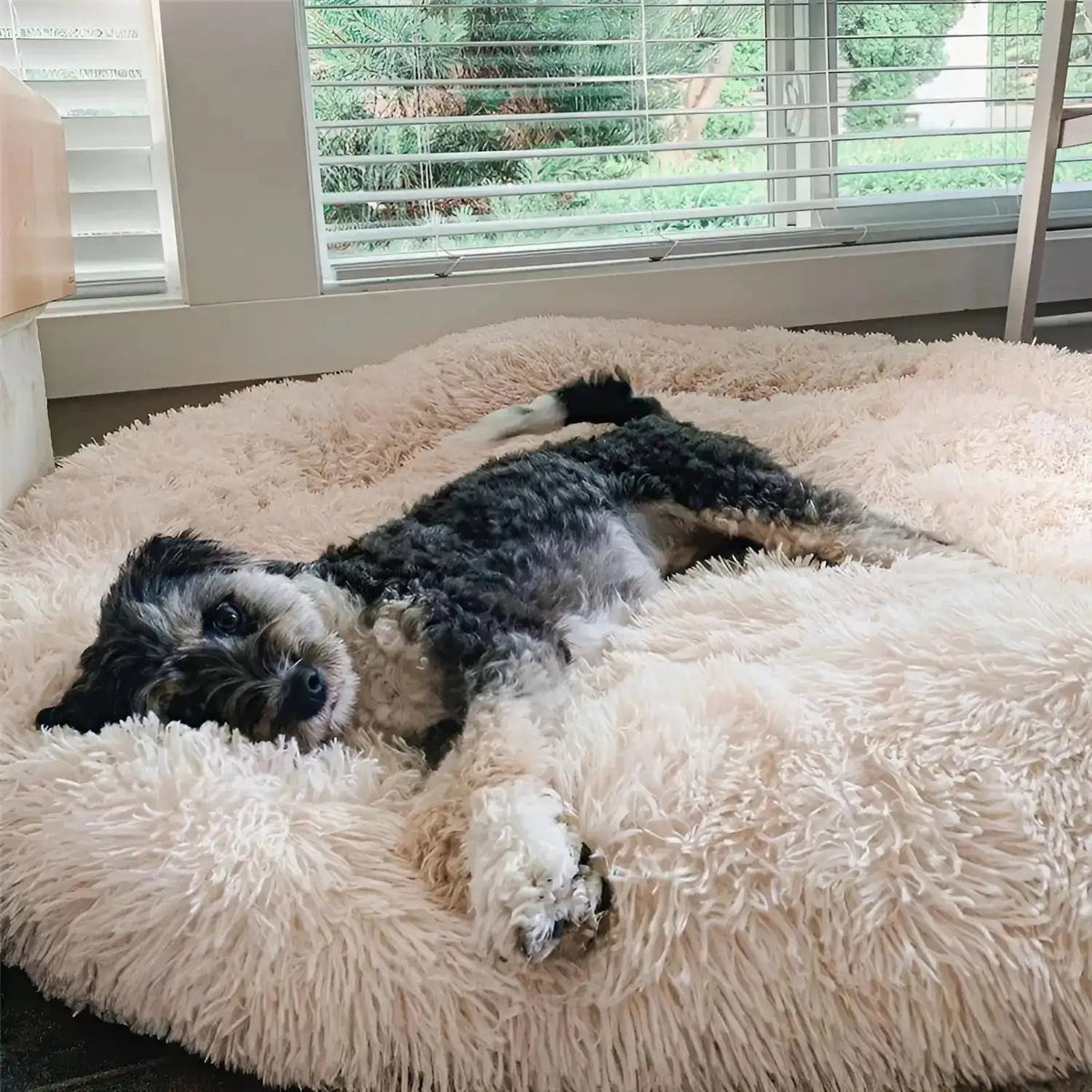 Plush Calming Dog Bed for Small and Large Dogs