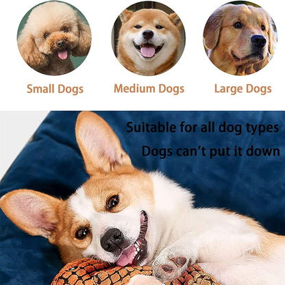 Plush Dinosaur Dog Toy Soft Durable Dog Chew Toy Safe Pet Toy For Small Medium Dogs
