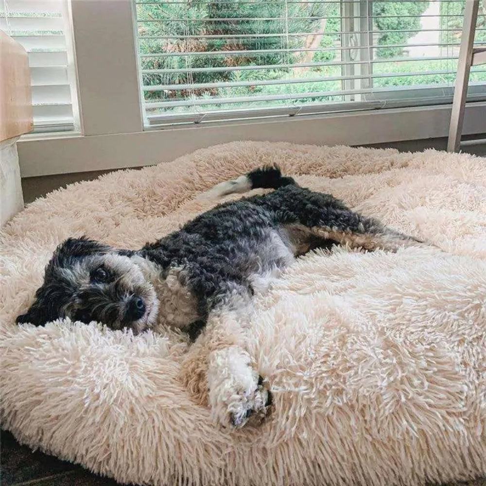 Plush Round Nest Dog Bed for Cozy Rest and Lounging