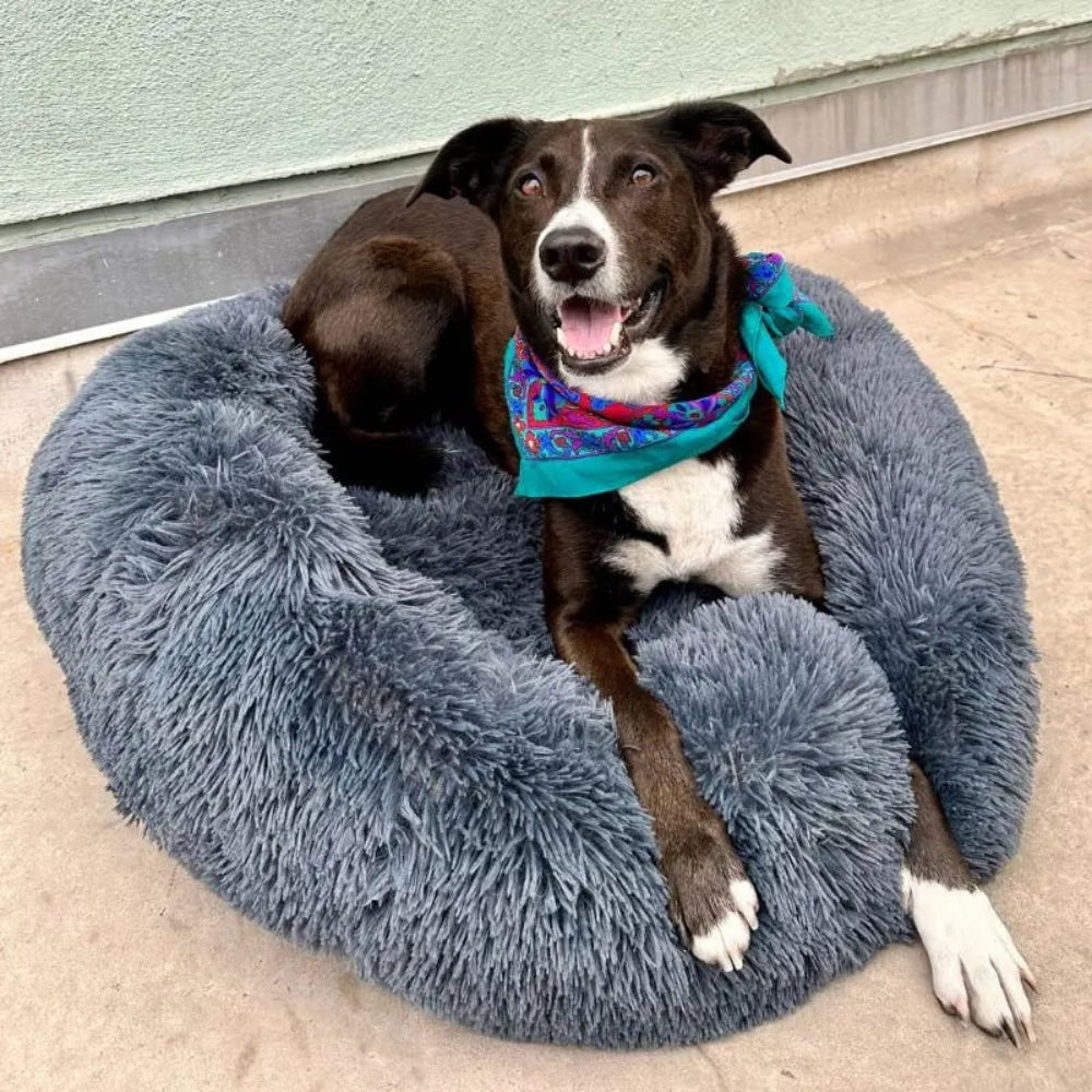 Plush Round Nest Dog Bed for Cozy Rest and Lounging