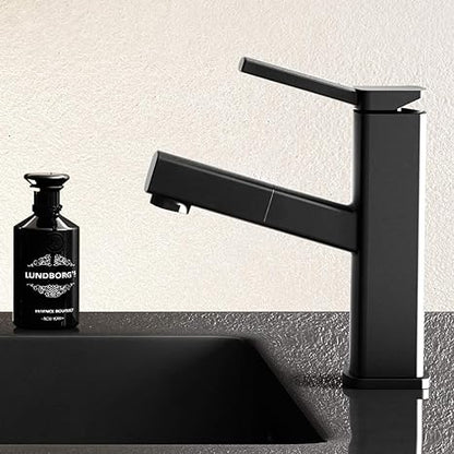 Pull Out Single Handle Bathtub Faucet Swivel Mixer Tap