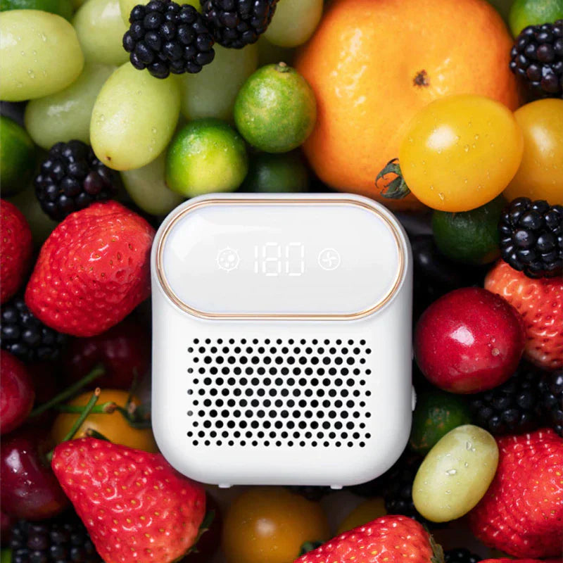 Rechargeable Fridge Deodorizer Ozone Air Purifier for Odor and Bacteria Control
