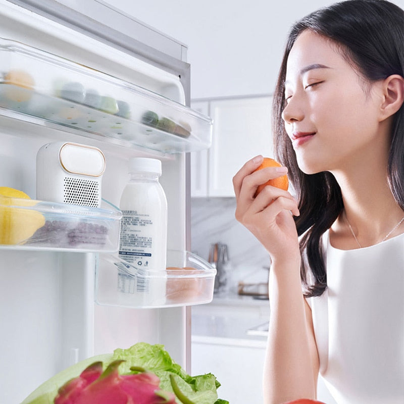 Rechargeable Fridge Deodorizer Ozone Air Purifier for Odor and Bacteria Control