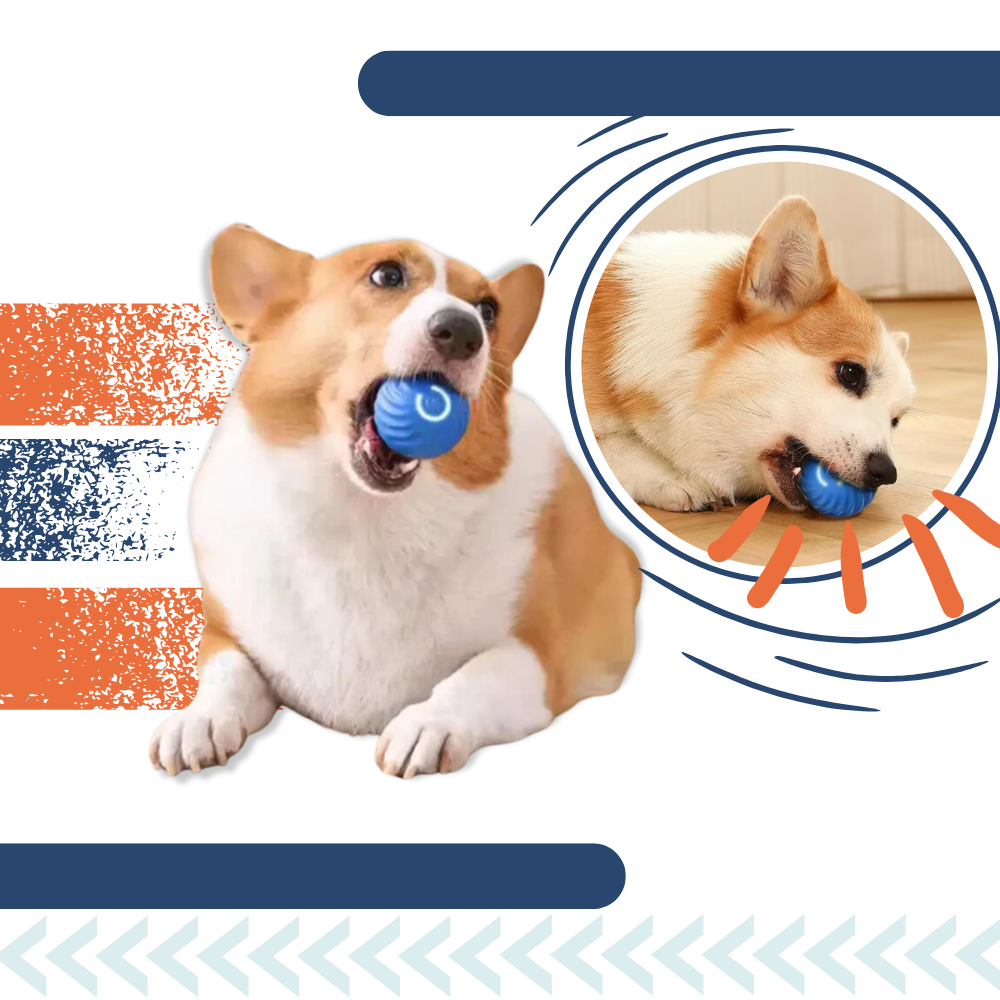Rechargeable Interactive Dog Ball Durable Obstacle Avoidance Toy