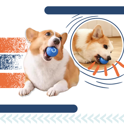 Rechargeable Interactive Dog Ball Durable Obstacle Avoidance Toy