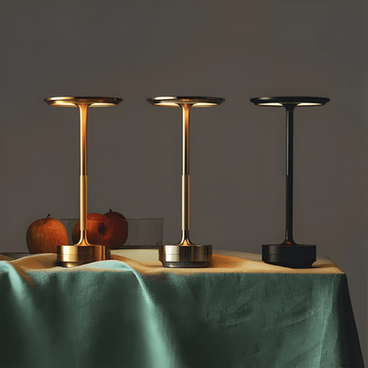 Rechargeable LED Table Lamp with Adjustable Brightness