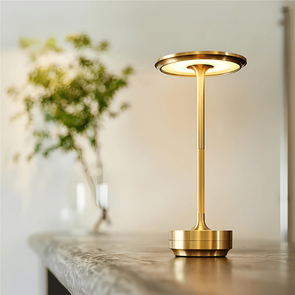 Rechargeable LED Table Lamp with Adjustable Brightness