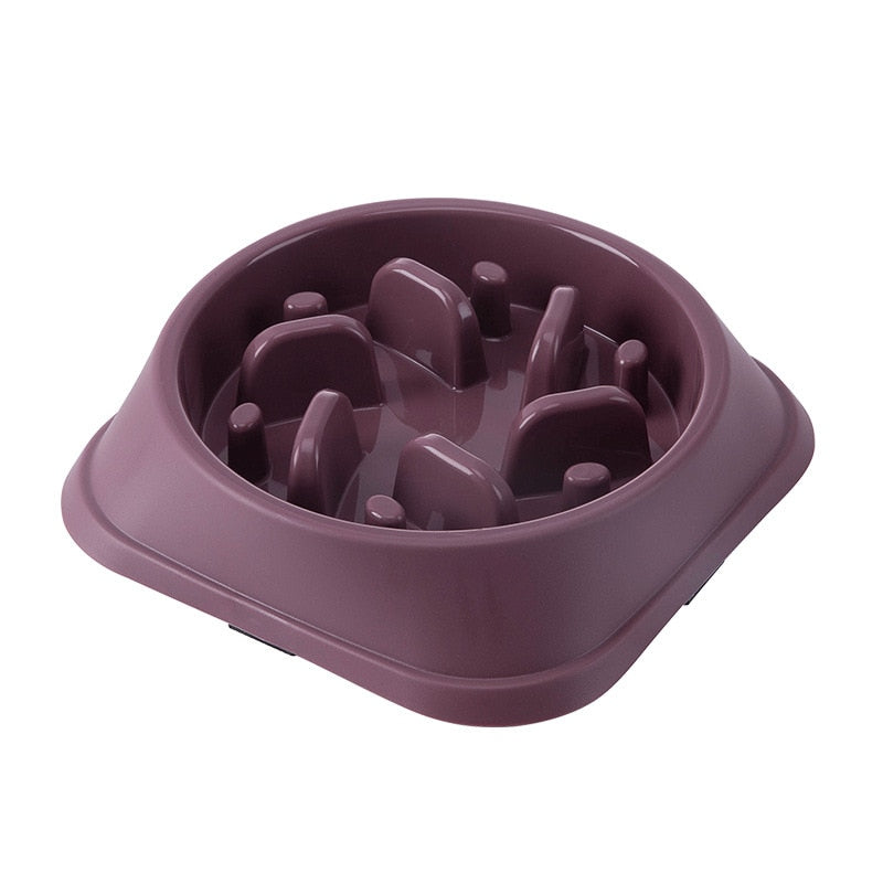 Slow Feeder Pet Bowl for Dogs Cats and Small Pets