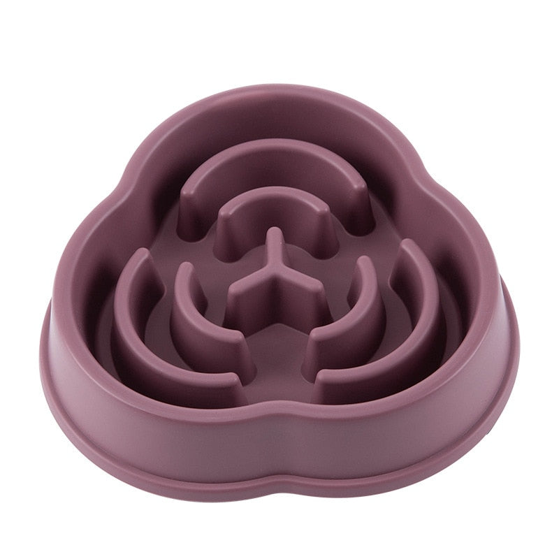 Slow Feeder Pet Bowl for Dogs Cats and Small Pets