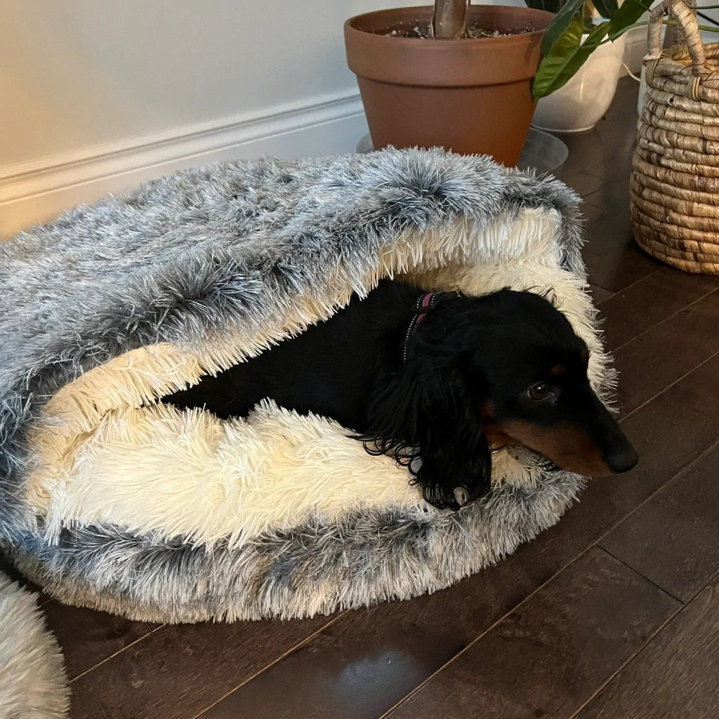 Soft Pet Cave Bed for Cats and Small Dogs