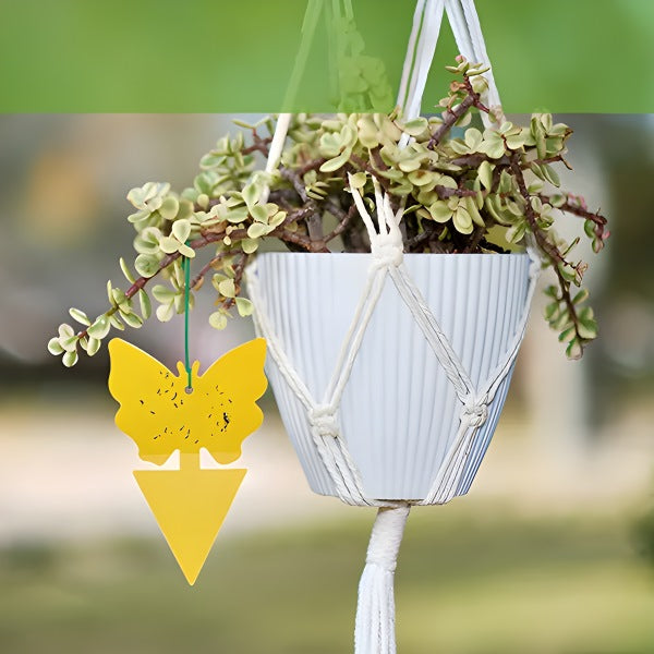 Sticky Fly Traps Indoor Outdoor Insect Catcher Set