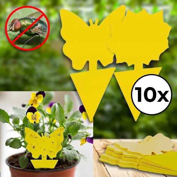 Sticky Fly Traps Indoor Outdoor Insect Catcher Set