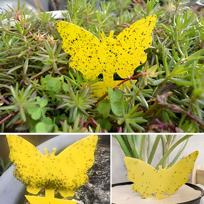 Sticky Fly Traps Indoor Outdoor Insect Catcher Set
