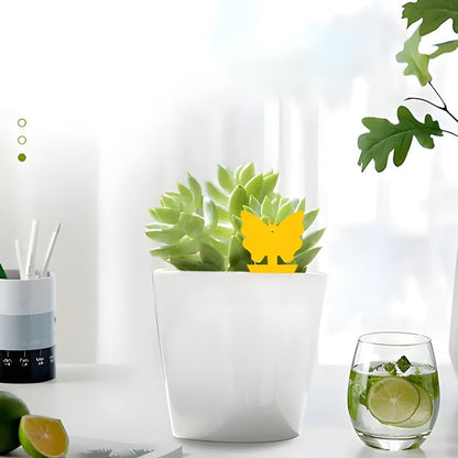 Sticky Fly Traps Indoor Outdoor Insect Catcher Set