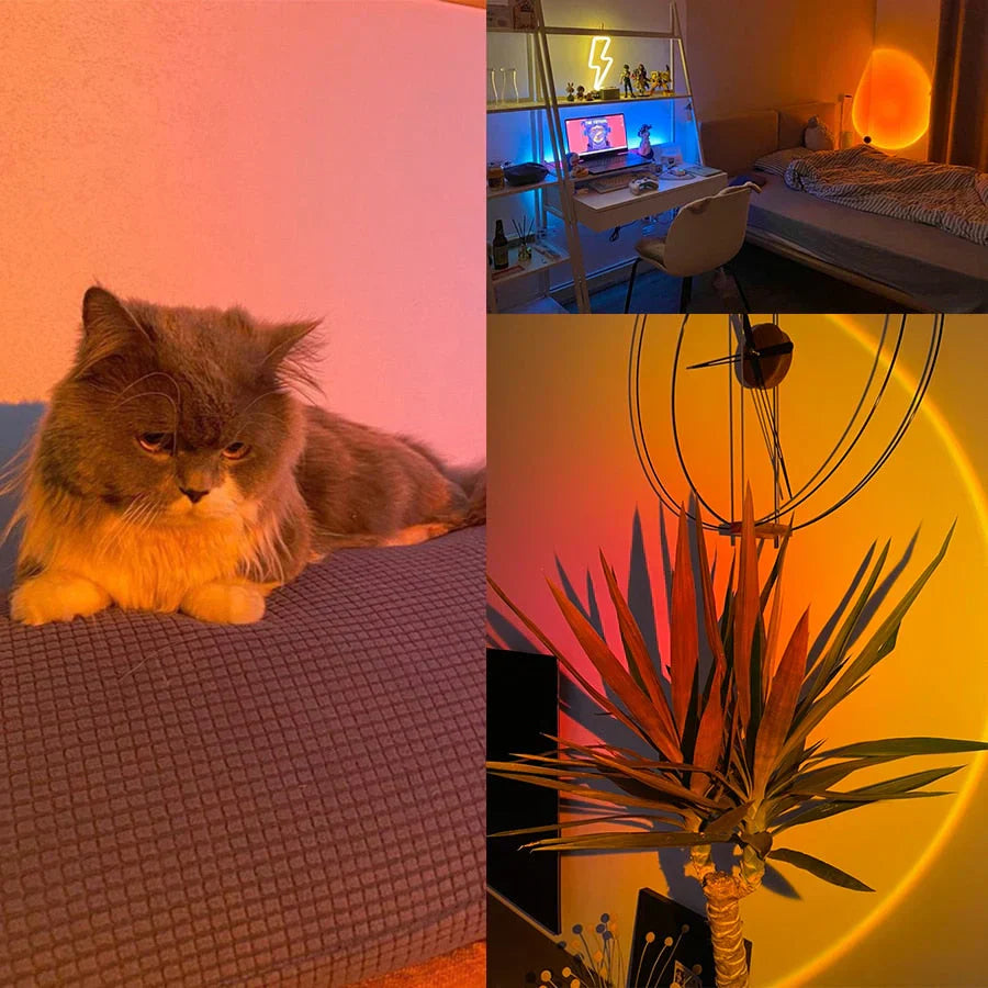 Sunset Mood Lamp with 4 Light Modes – Adjustable Ambient LED Nightlight