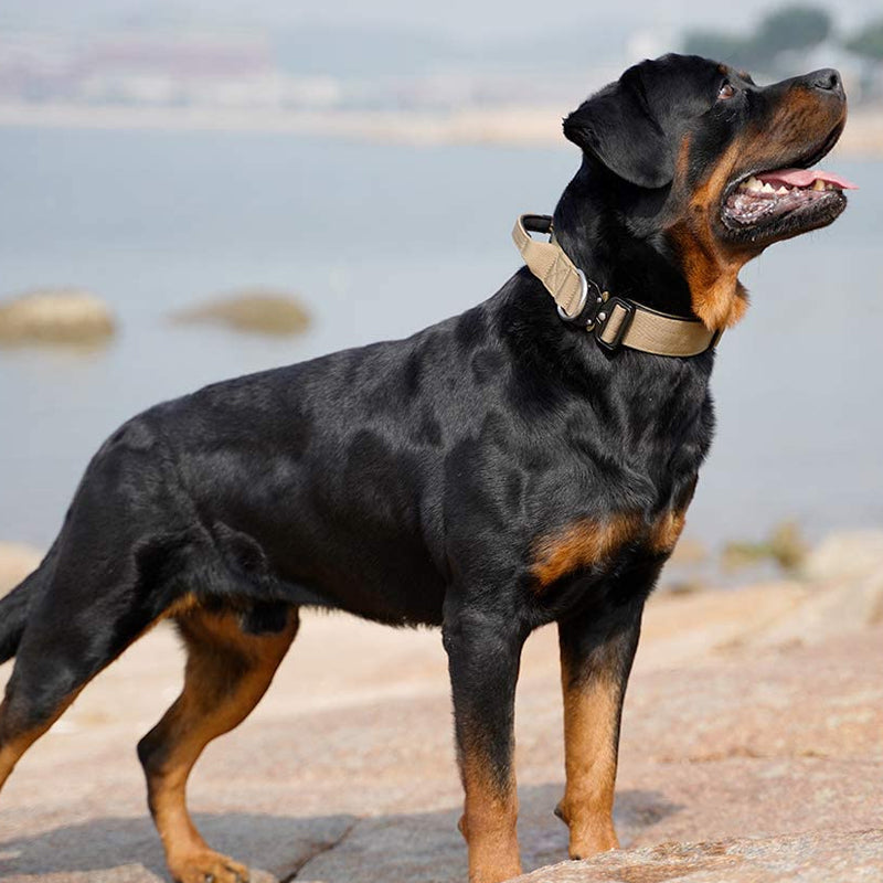 Tactical Dog Collar Heavy Duty Training Collar With Handle