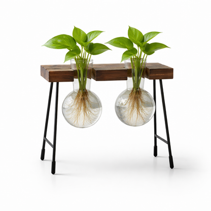 Transparent Glass Hydroponic Vase Modern Desktop Plant Holder