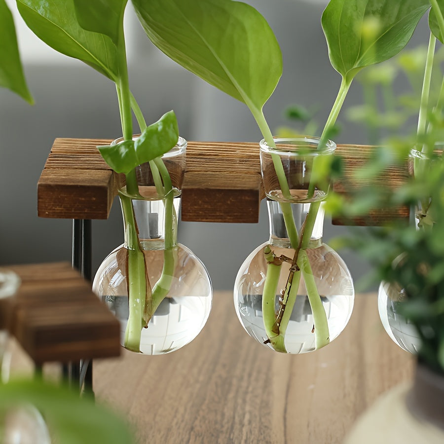 Transparent Glass Hydroponic Vase Modern Desktop Plant Holder