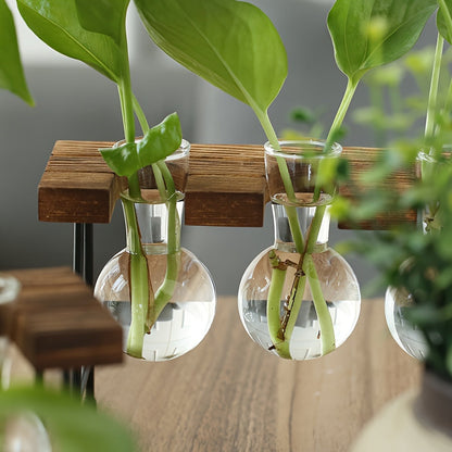 Transparent Glass Hydroponic Vase Modern Desktop Plant Holder