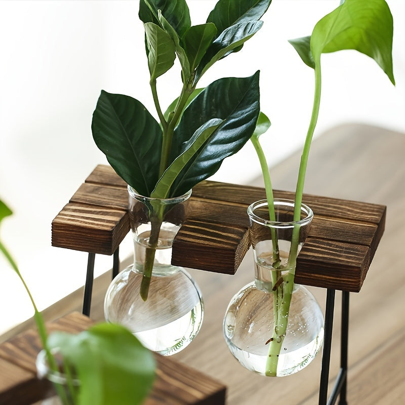 Transparent Glass Hydroponic Vase Modern Desktop Plant Holder