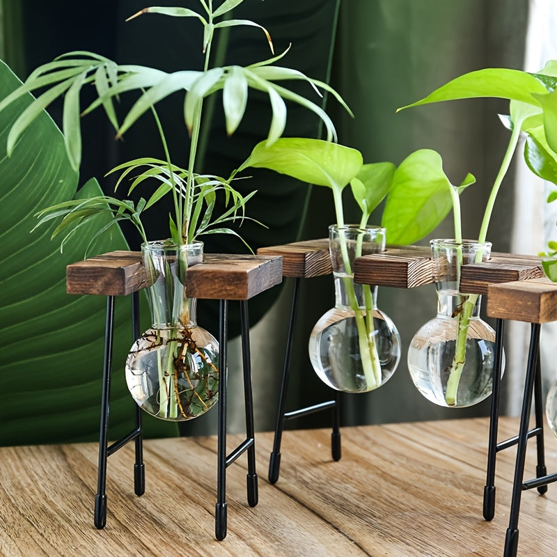 Transparent Glass Hydroponic Vase Modern Desktop Plant Holder