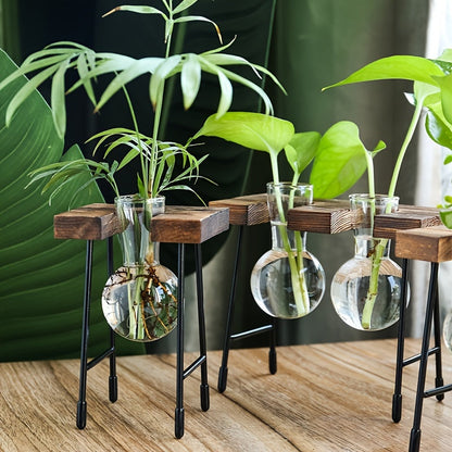 Transparent Glass Hydroponic Vase Modern Desktop Plant Holder