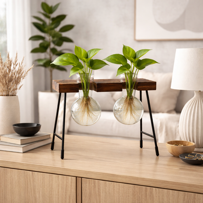 Transparent Glass Hydroponic Vase Modern Desktop Plant Holder