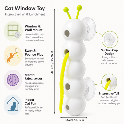 Interactief bewegingspuzzelspeelgoed voor katten, voor wandmontage