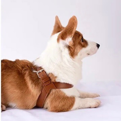 Waterproof Leather Dog Harness Adjustable Comfortable Pet Vest
