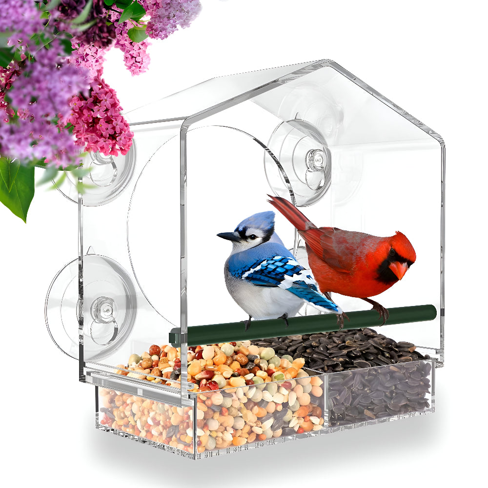 Window Bird Feeder Clear Acrylic Suction Cup Feeding Tray